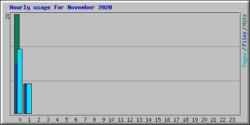 Hourly usage for November 2020